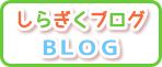 白菊幼稚園-ブログ