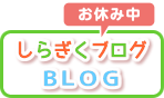 白菊幼稚園-ブログ